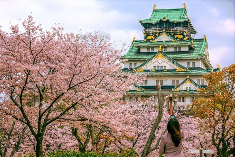 Lâu đài Osaka vào mùa xuân