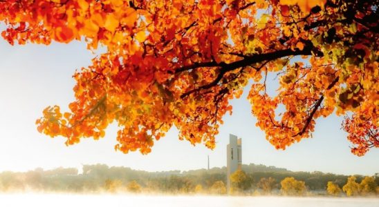 Hình ảnh mùa thu ở Úc