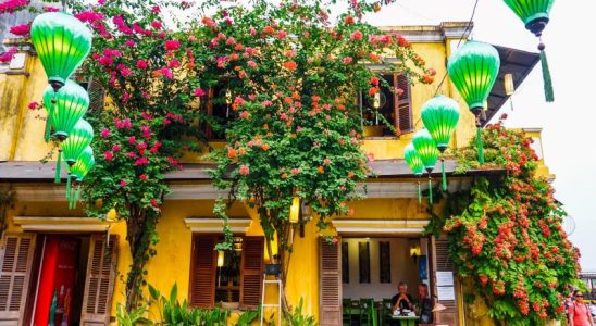 Hội An khoác lên màu áo của hoa giấy đầy rực rỡ