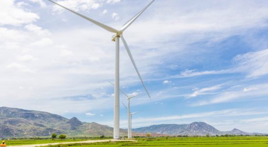 Cánh đồng quạt gió Bình Định